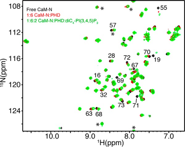 FIGURE 6.