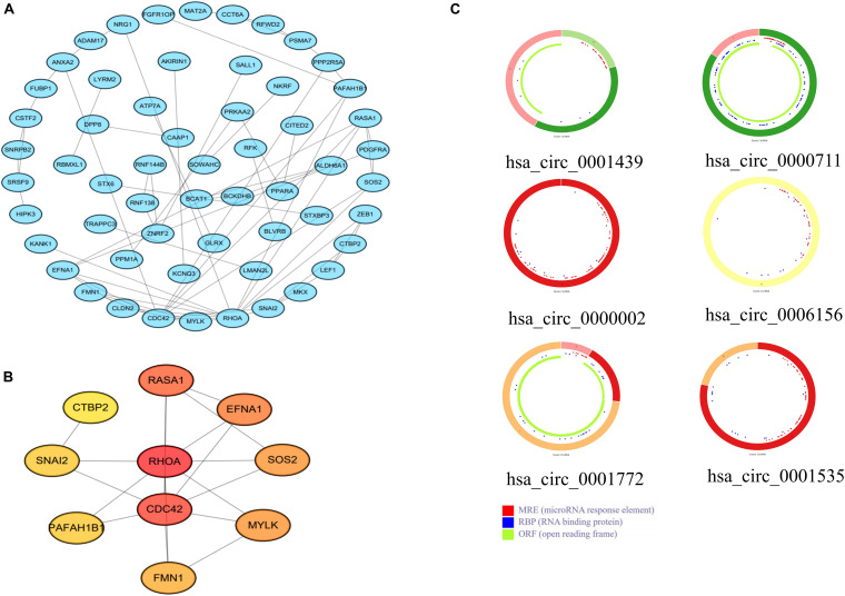 FIGURE 3