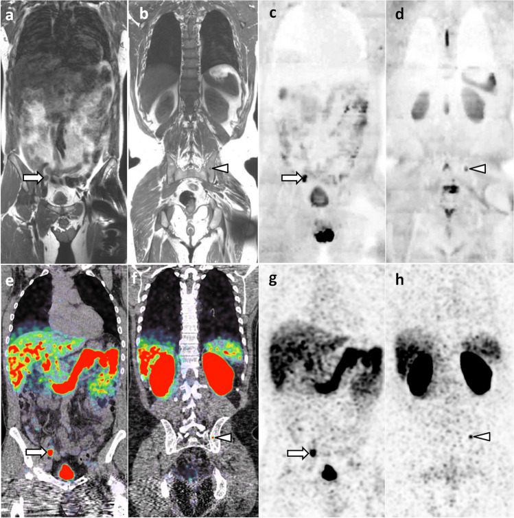 Fig. 4