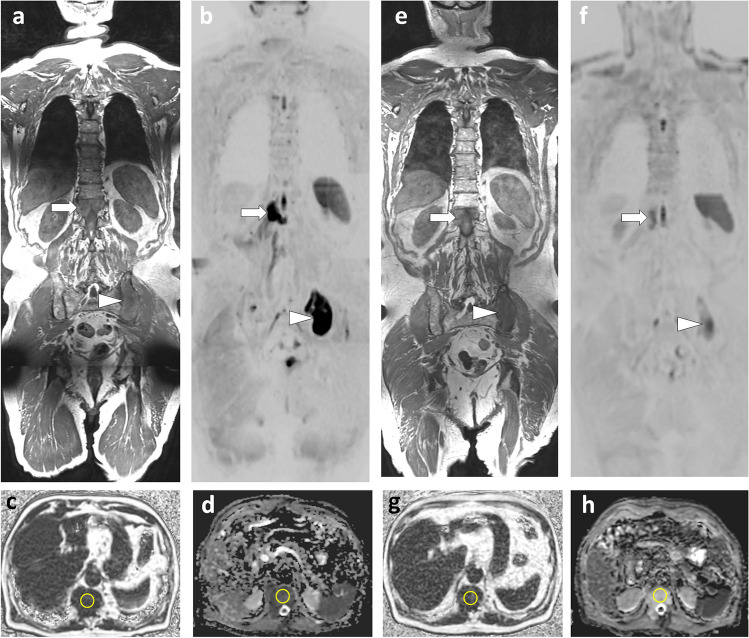 Fig. 3