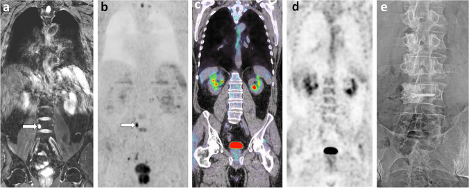 Fig. 6