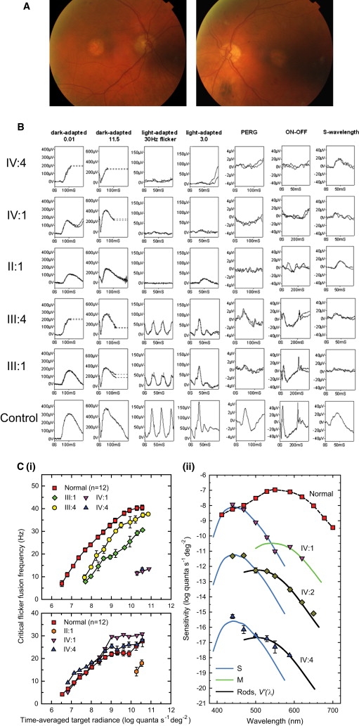 Figure 2