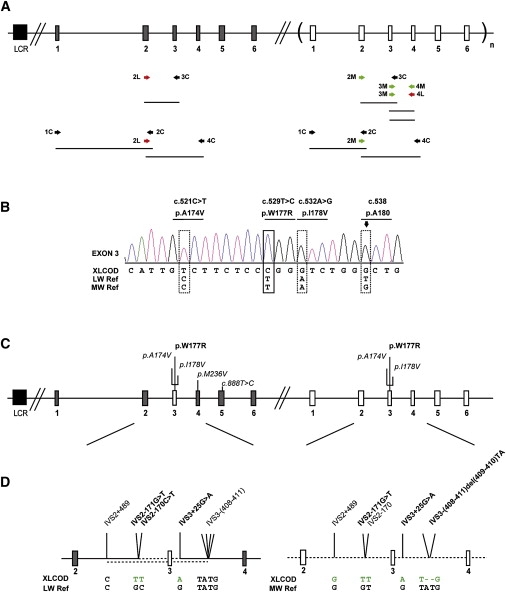 Figure 3