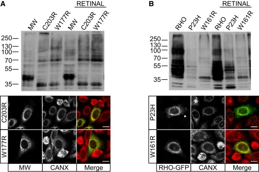 Figure 6