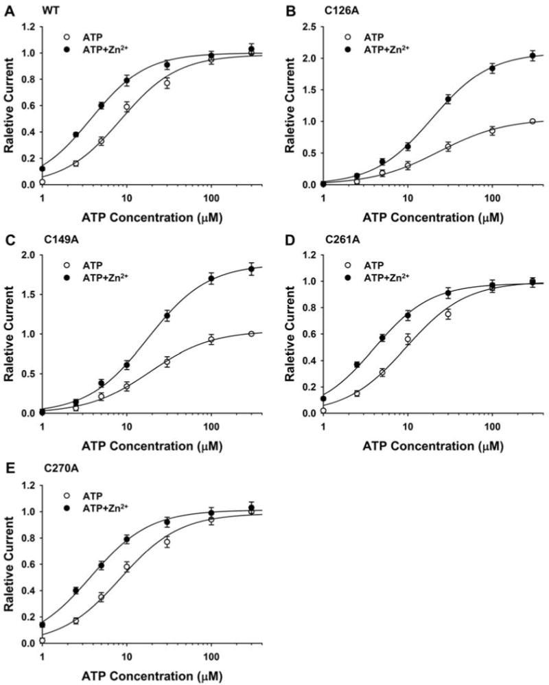 Fig. 2