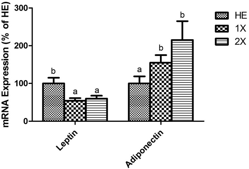 Figure 3.