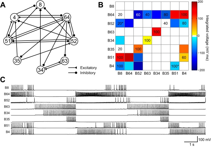 Fig. 7.