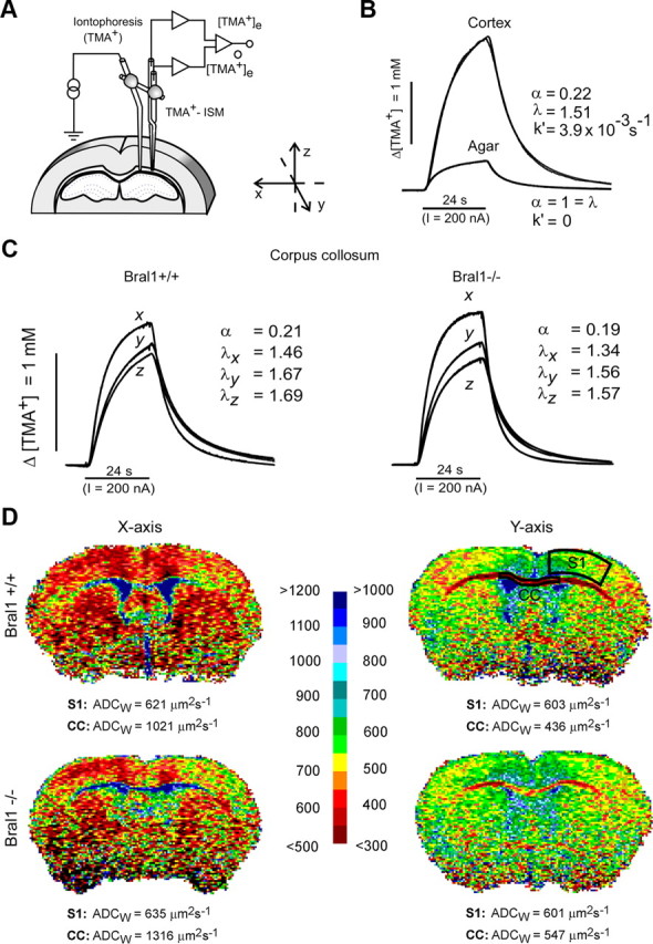 Figure 6.