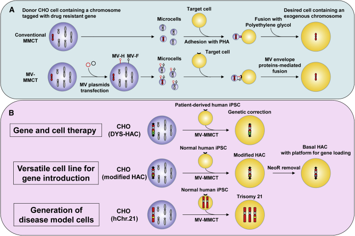 Figure 1