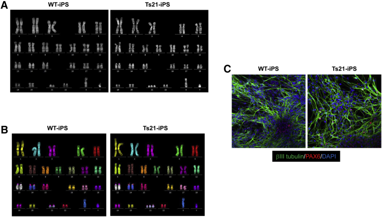 Figure 4