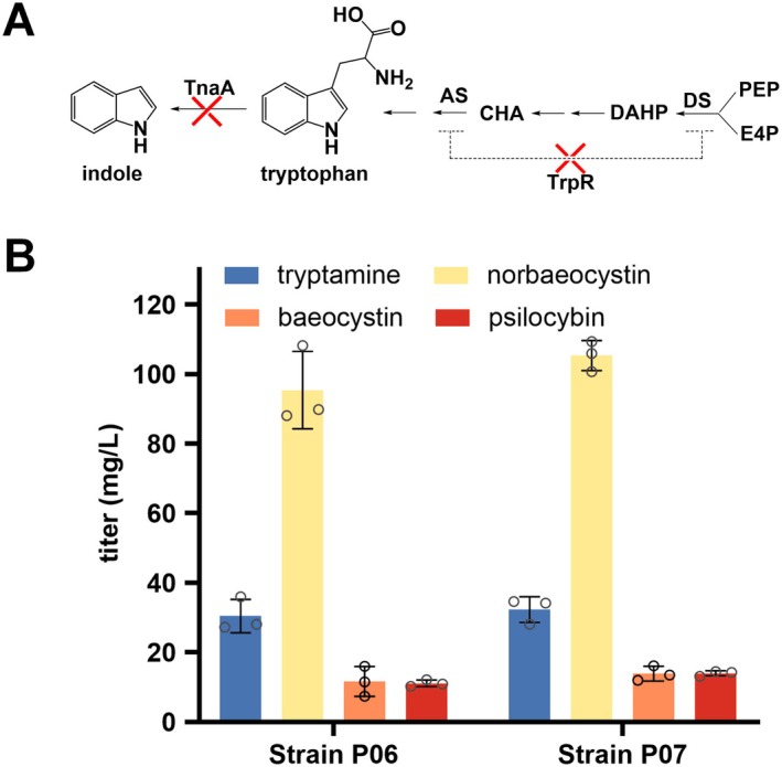 FIGURE 4