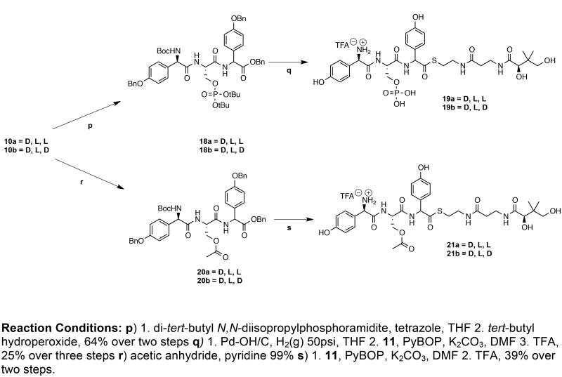 Scheme 3