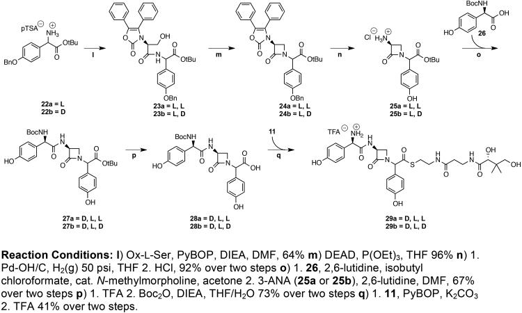 Scheme 4