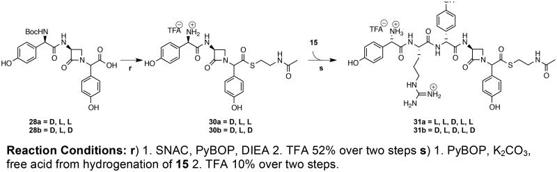 Scheme 5