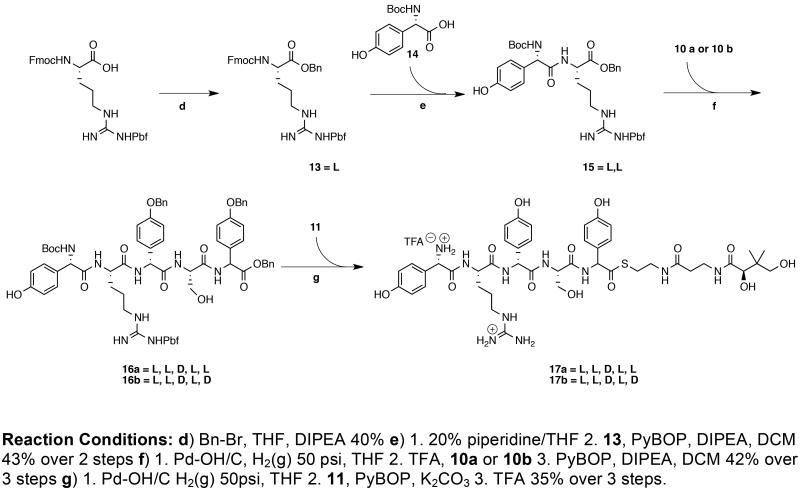 Scheme 2