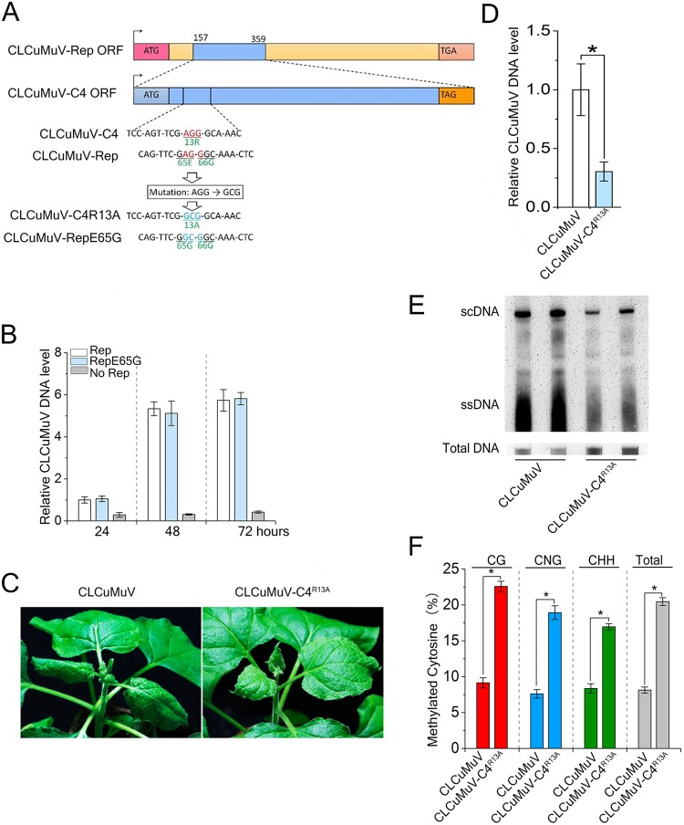 Fig 6