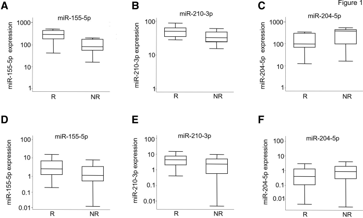 Figure 1