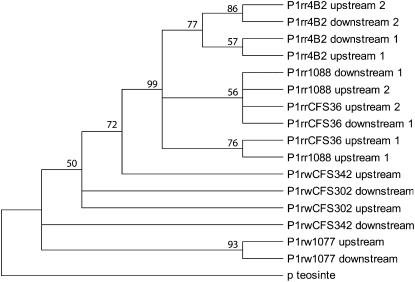 Figure 3.—