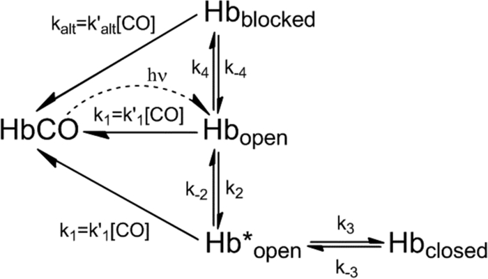 SCHEME 3.