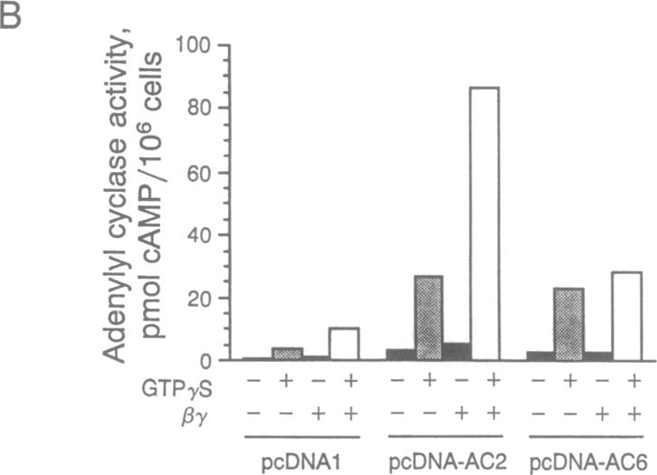 graphic file with name pnas01094-0456-a.jpg