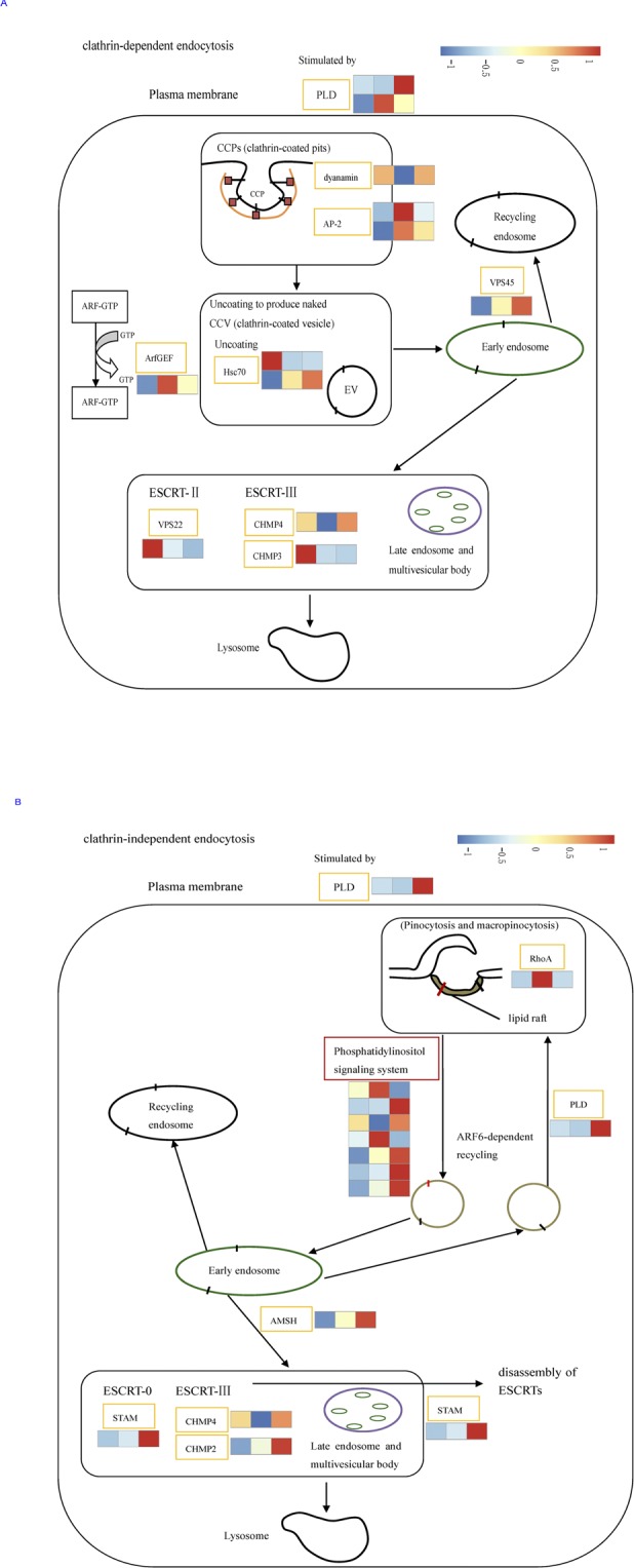 Fig 10