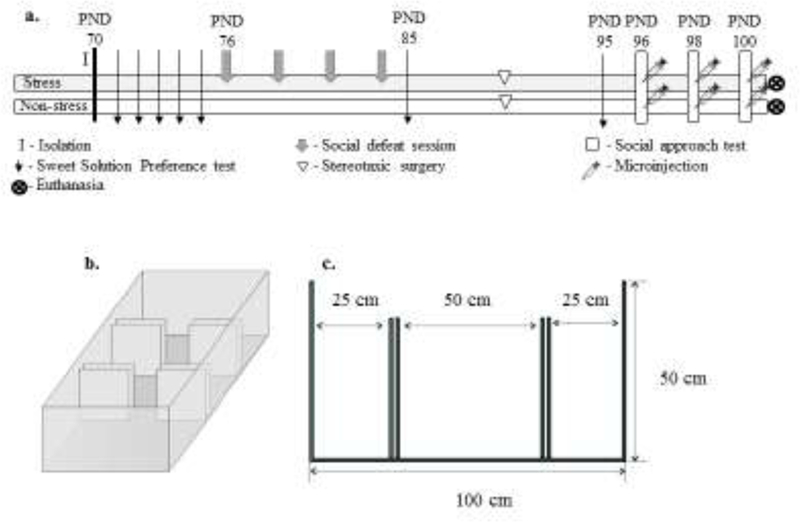 Figure 1 –