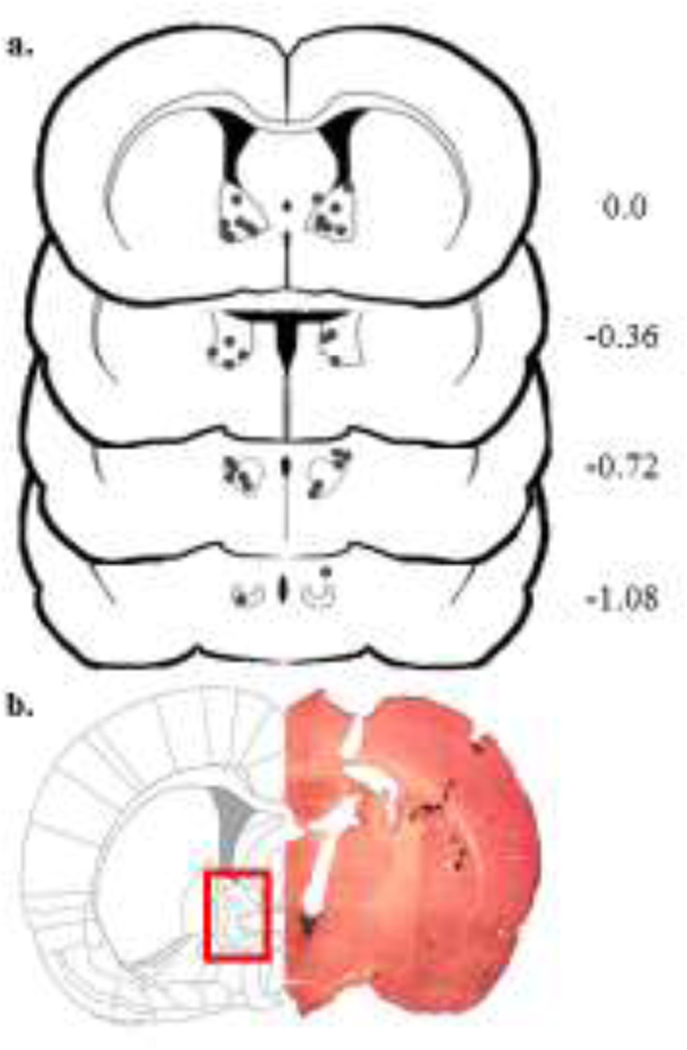 Figure 2 –