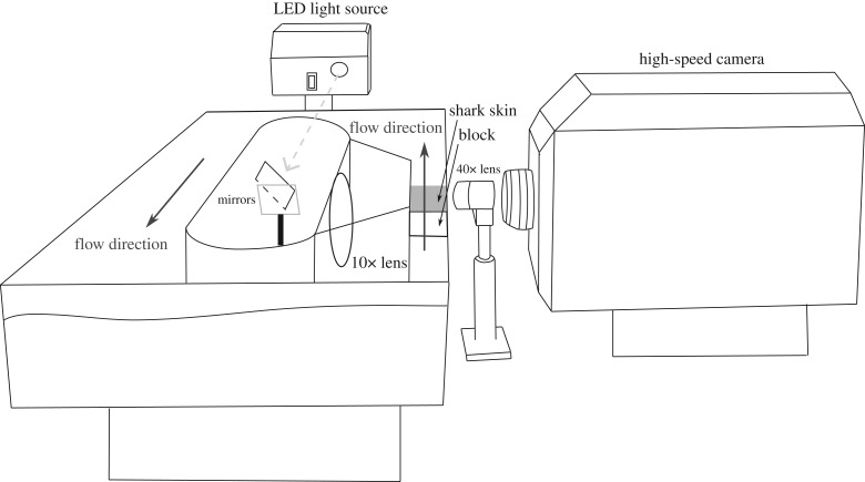 Figure 2.