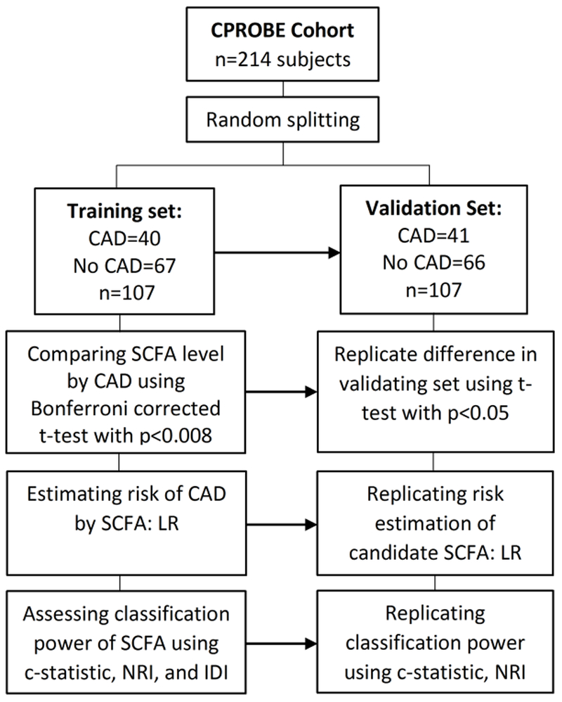 Figure 1: