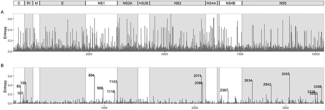 Figure 2.