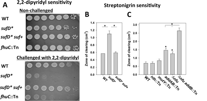 FIG 9