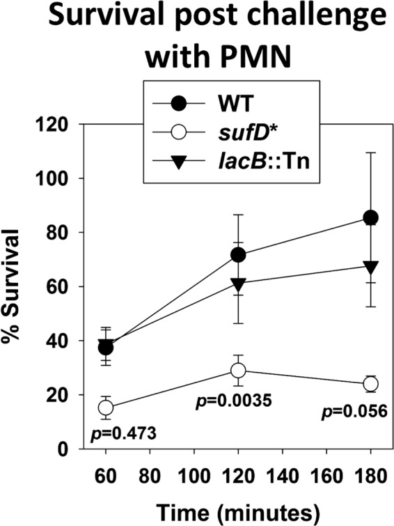 FIG 11