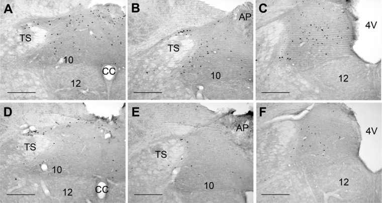 Fig. 7.