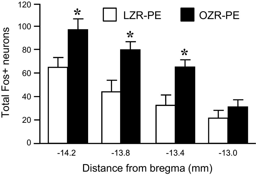 Fig. 10.