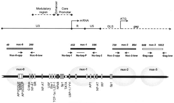 FIG. 1.