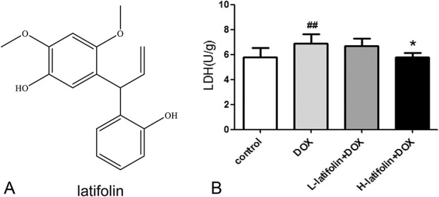 FIGURE 1.