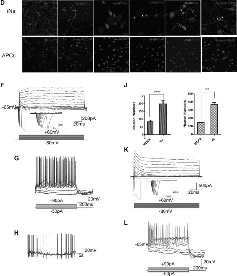 FIG. 1.