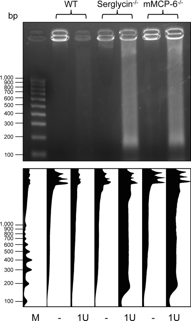 FIGURE 9.