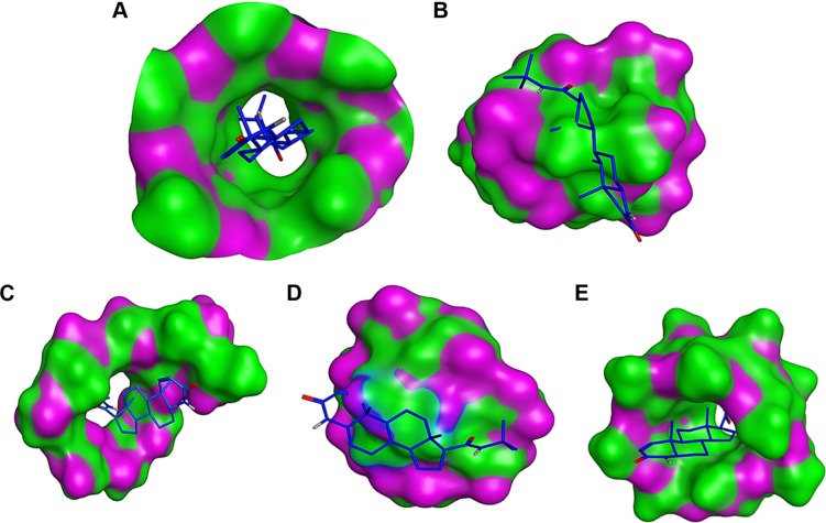 Figure 7