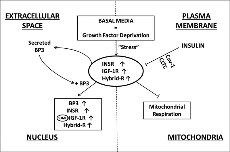 Fig. 9: