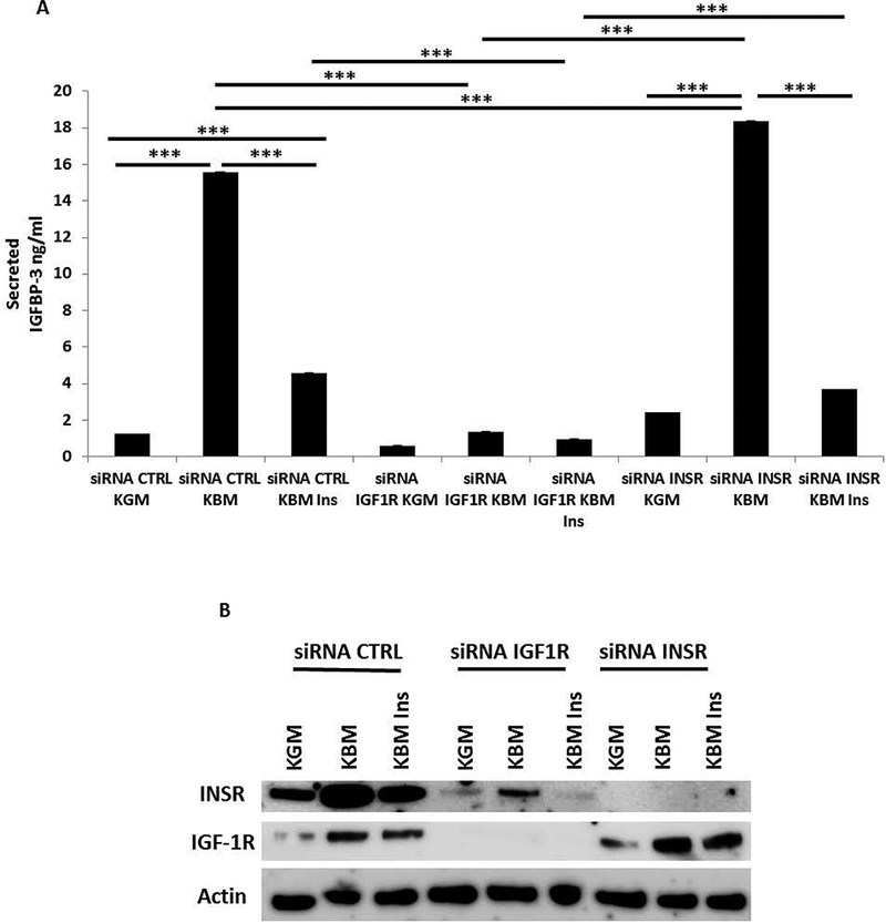 Fig. 2: