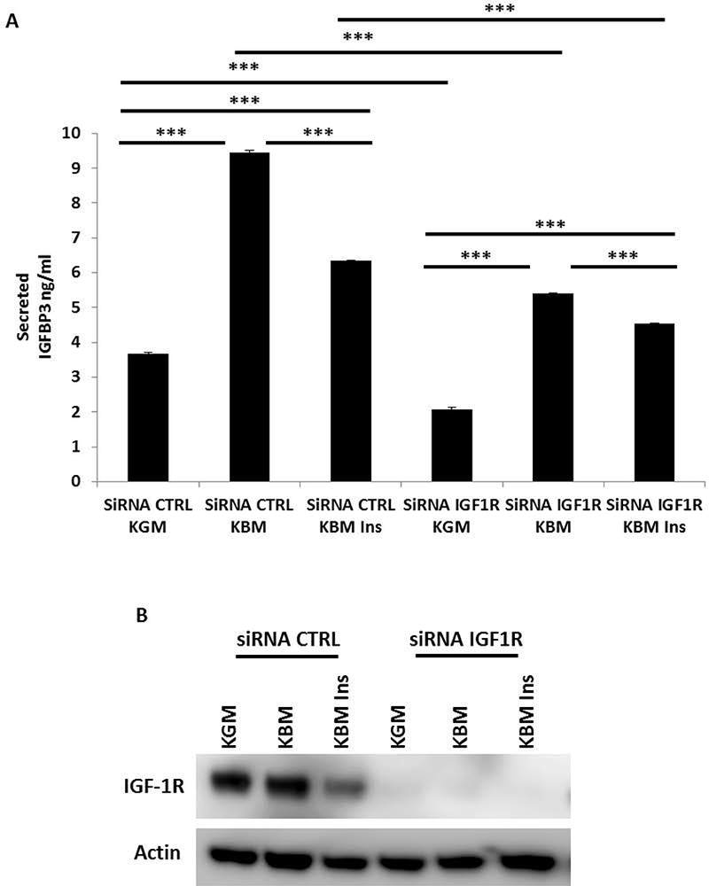 Fig. 3: