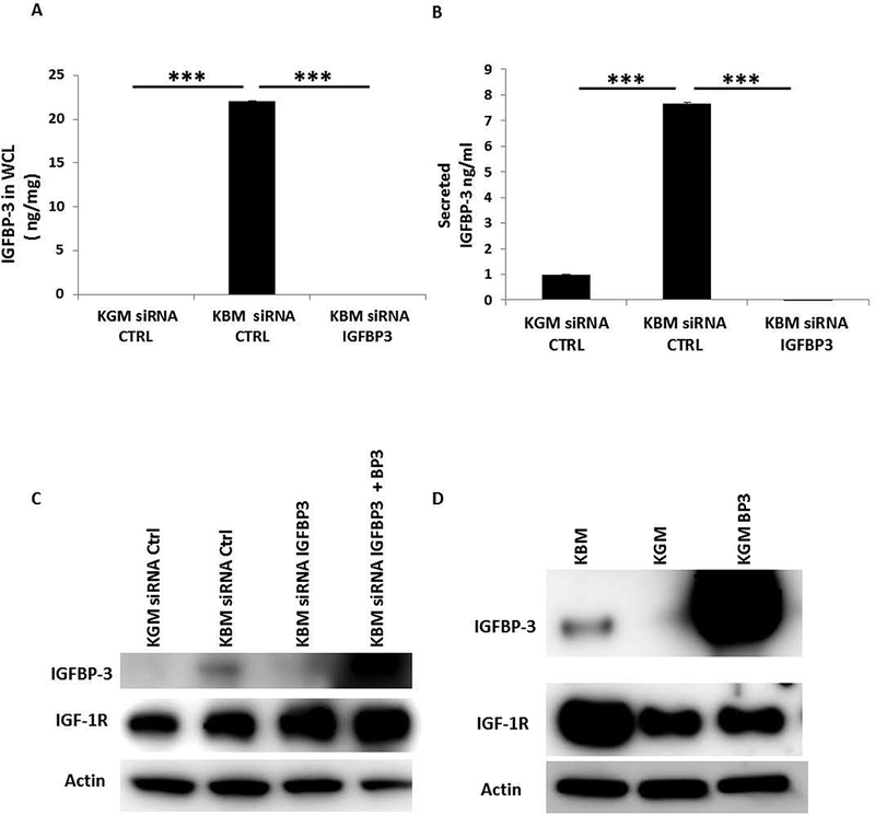 Fig. 4: