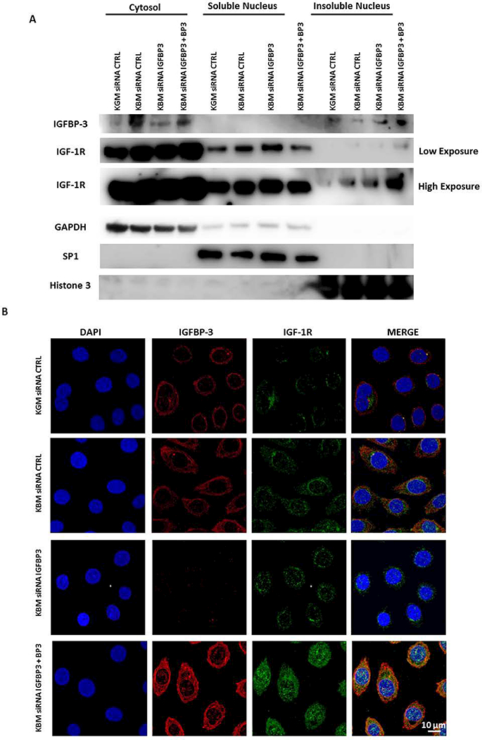 Fig. 7: