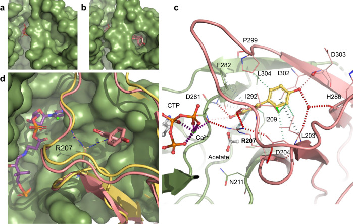 Fig. 7