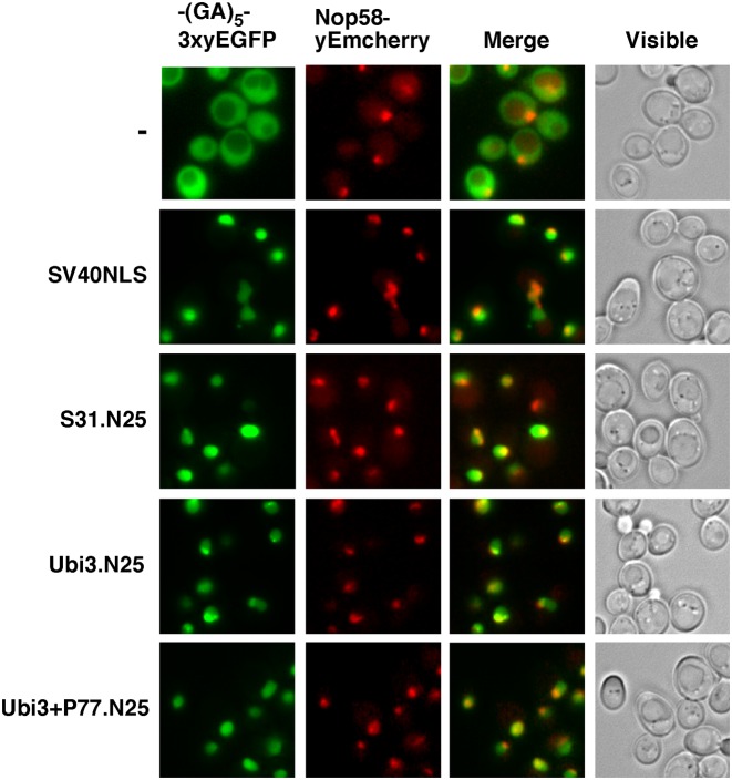 Figure 6.