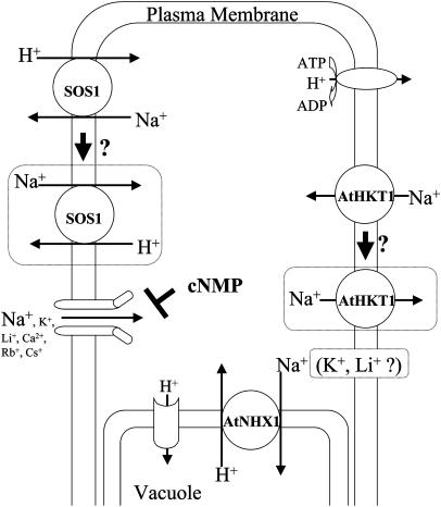 Figure 1.