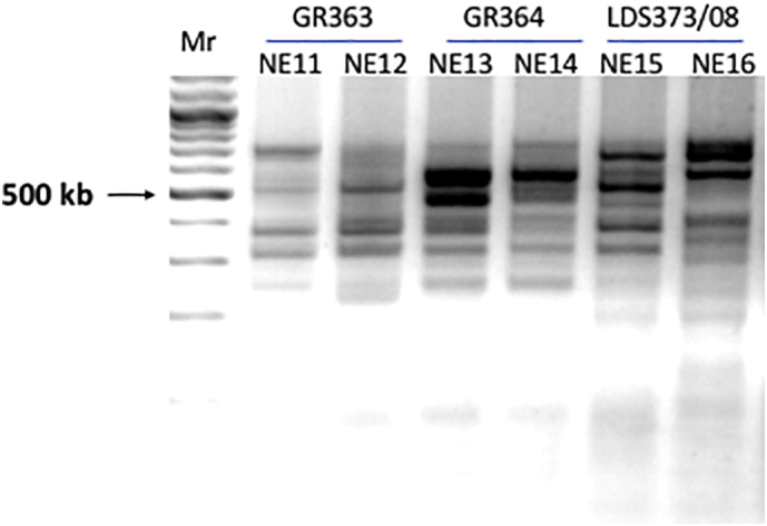 Fig. S3