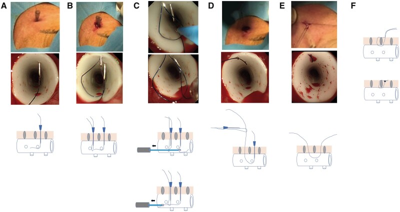 Figure 1: