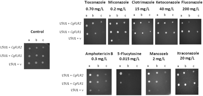 Figure 4